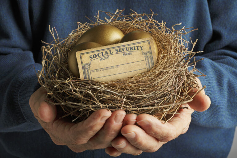 nest with golden eggs and social security card