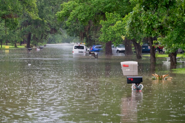 Heavy flooding in rural area submerged cars trees