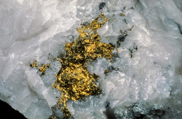 Gold nugget