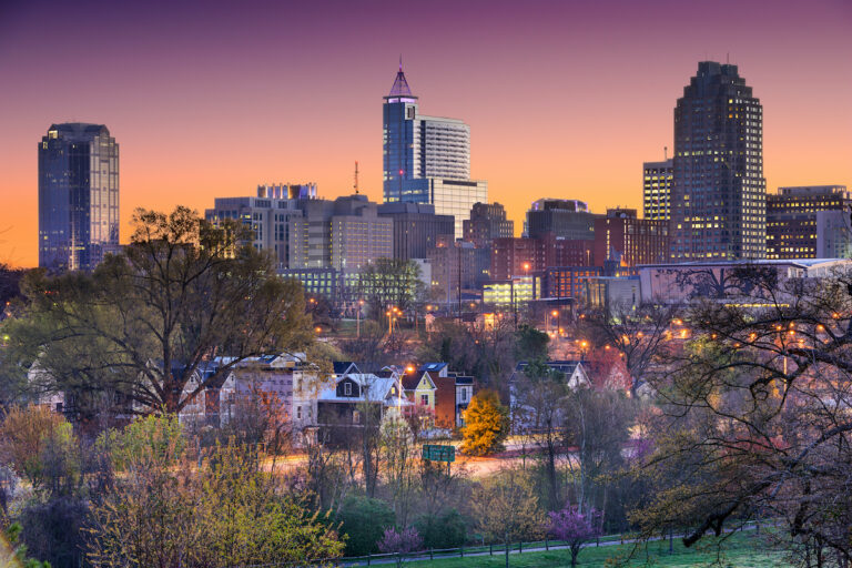 raleigh skyline