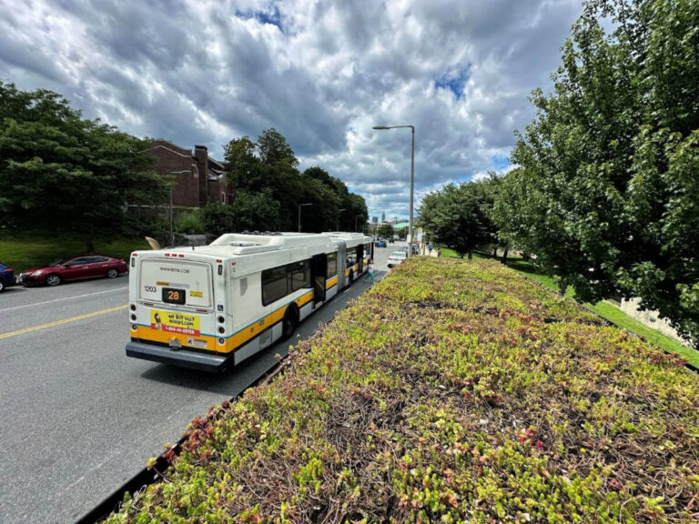 bus shelters garden