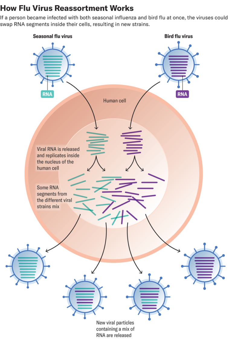 flu mixing graphic d TEXT