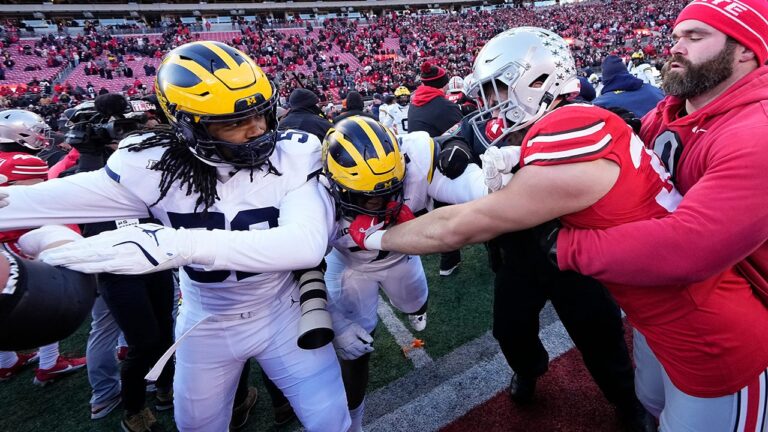 michigan osu fight 2