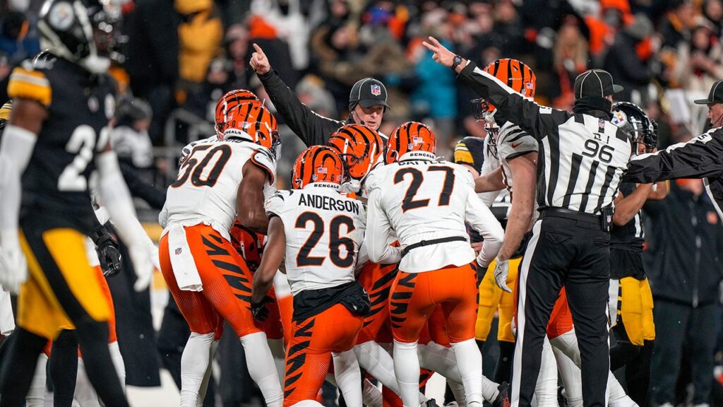 bengals d