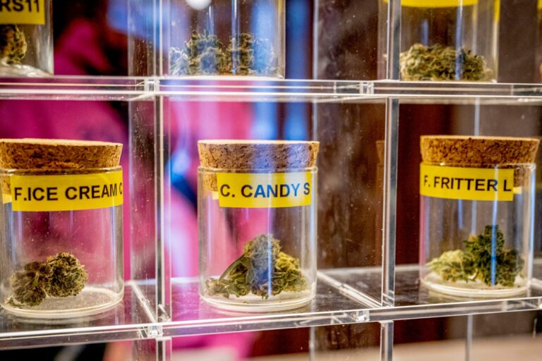 cannabis strains at dispensary