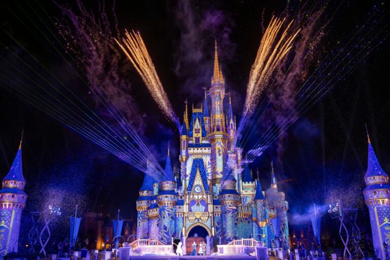 disney castle fireworks