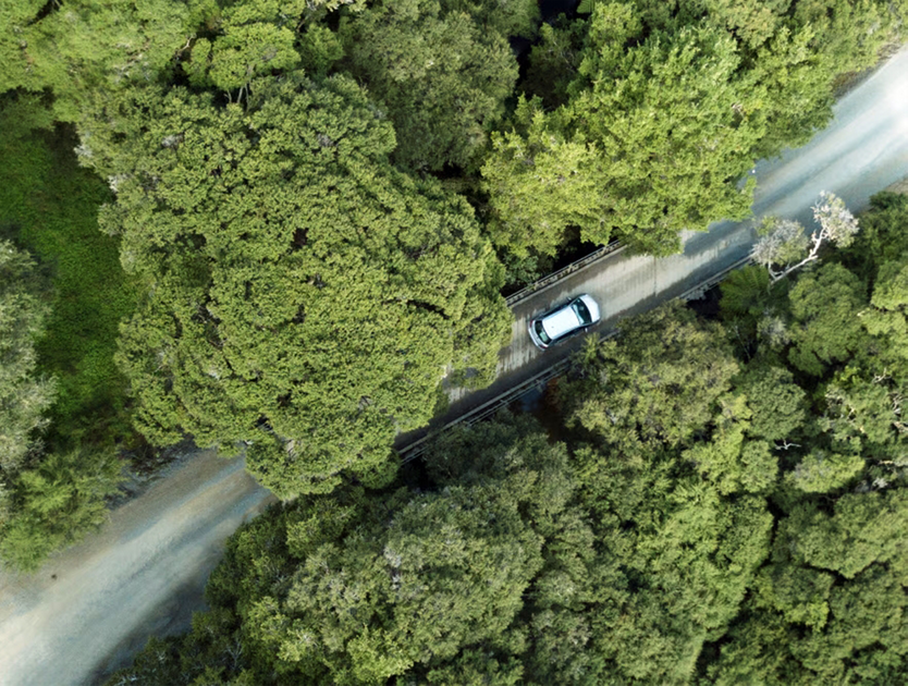 toitu background 1200x630 s